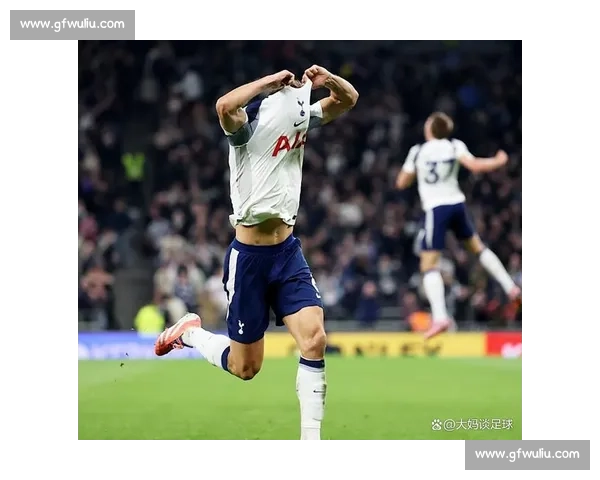 帕利尼亚：埃弗顿主场零封不易，热刺值得掌声